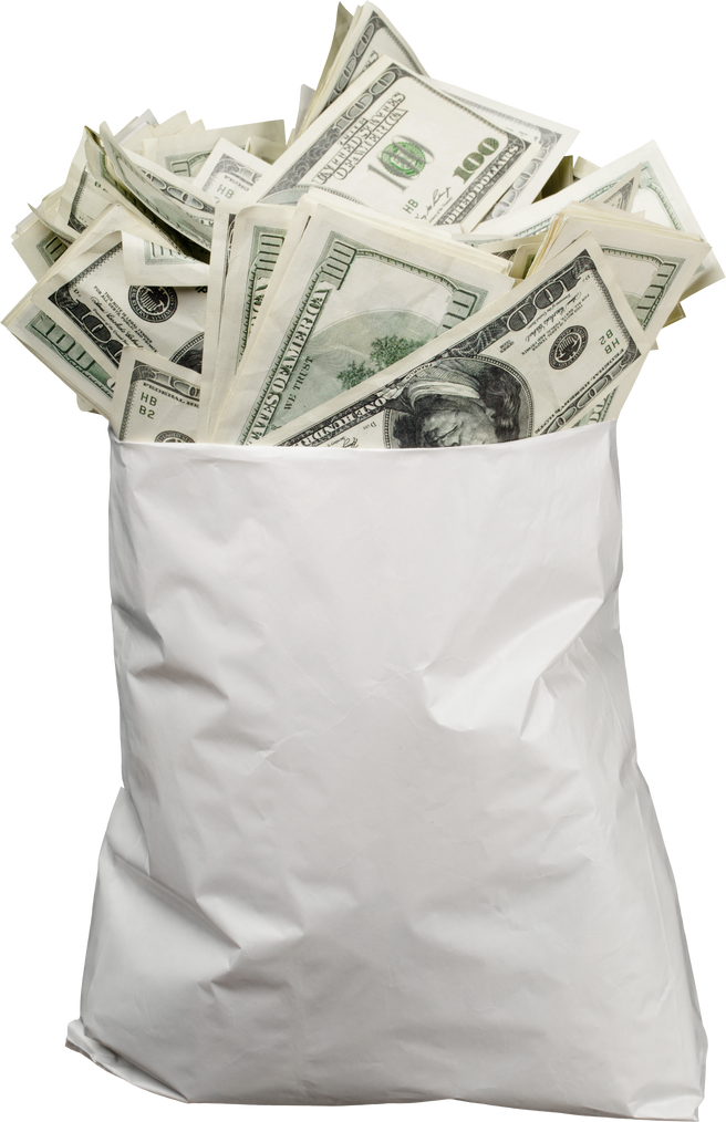 Bag of Money - Isolated